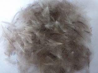 CDC Natural Mixed